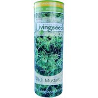 Living Seeds Black Mustard Sprouting & Microgreen Seeds 